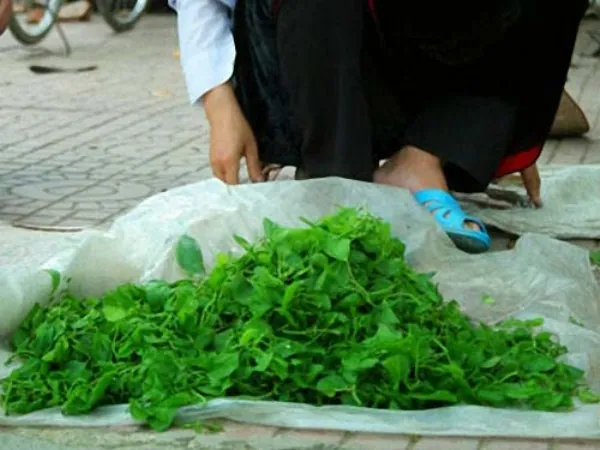 Đến với Điện Biên không thể bỏ lỡ những món ngon này