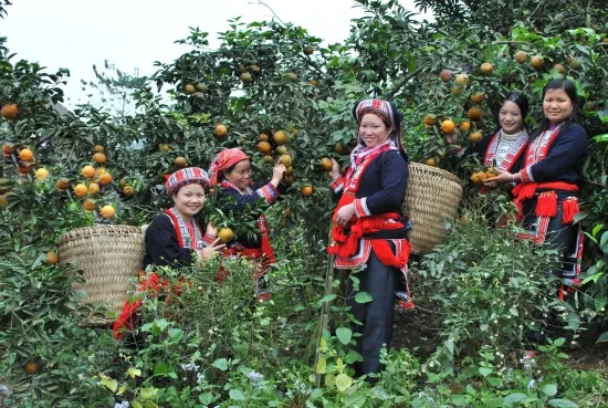 Đến với Hà Giang thơ mộng thì đừng bỏ lỡ những món ngon ngây ngất lòng người