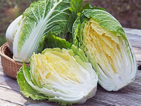 Món quà vô giá từ cây cải thảo