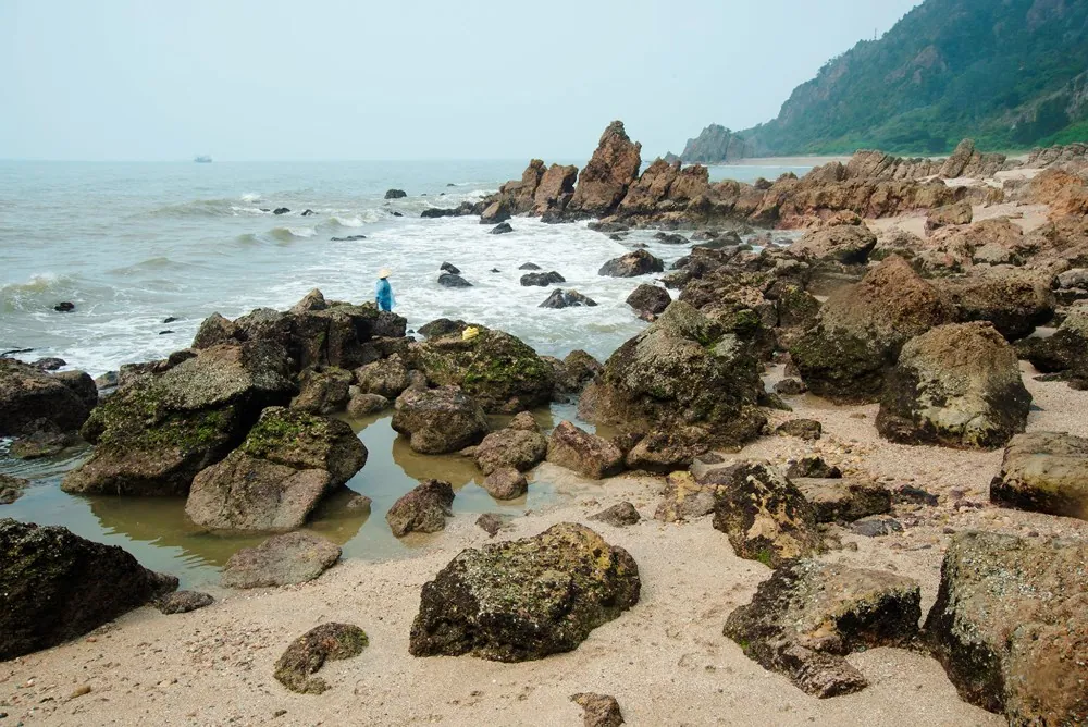 Đặc sản rau cạo Nghệ An nhìn ghê ghê: Gắp 1 đũa là muốn gắp đũa thứ 2, 3