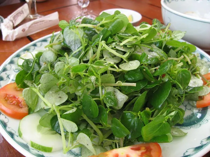Nhớ mãi hương vị rau càng cua bóp giấm