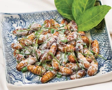 Khó quên được vị béo “ngầy ngậy” của nhộng tằm