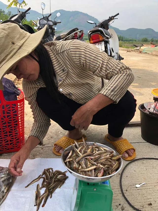 Đặc sản hiếm cá chạch cát ở vùng núi: Nhiều tiền chưa chắc đã mua được