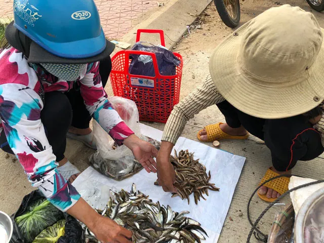 Đặc sản hiếm cá chạch cát ở vùng núi: Nhiều tiền chưa chắc đã mua được