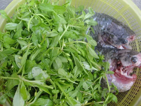 Thưởng thức món “rau đắng” để nhớ mãi miền Tây Nam Bộ