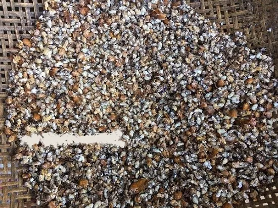Chảy nước miếng với món bọ nhảy có bụi phấn trắng như là vôi