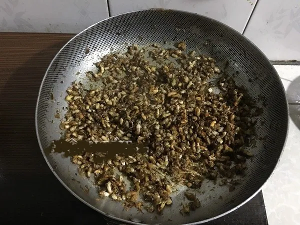 Chảy nước miếng với món bọ nhảy có bụi phấn trắng như là vôi