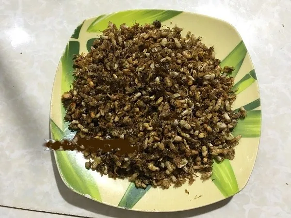 Chảy nước miếng với món bọ nhảy có bụi phấn trắng như là vôi