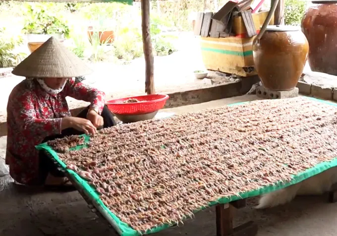 Dàn “vũ nữ chân dài” – đặc sản An Giang “đốn tim” tất cả dân nhậu miền Tây