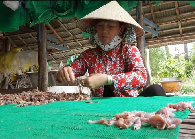 Dàn “vũ nữ chân dài” – đặc sản An Giang “đốn tim” tất cả dân nhậu miền Tây