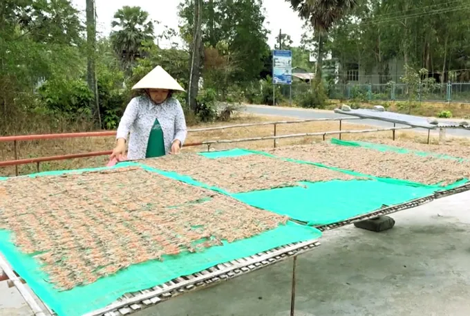 Dàn “vũ nữ chân dài” – đặc sản An Giang “đốn tim” tất cả dân nhậu miền Tây