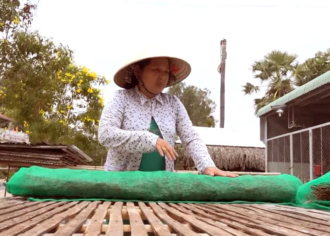 Dàn “vũ nữ chân dài” – đặc sản An Giang “đốn tim” tất cả dân nhậu miền Tây