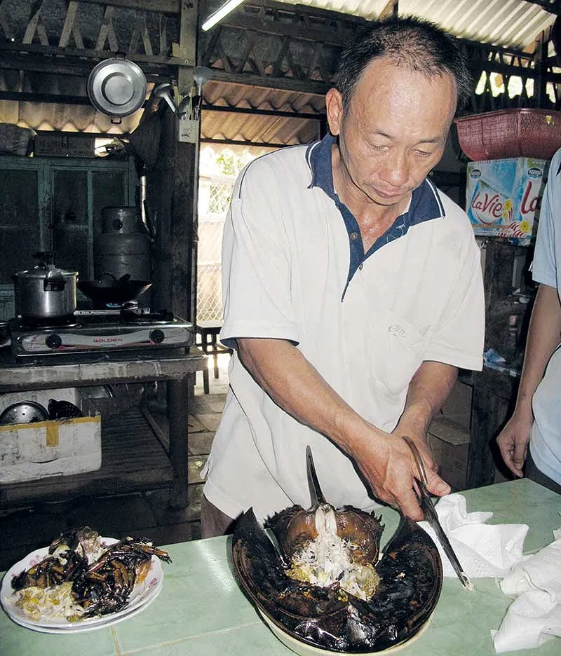 Đến cửa sông thưởng thức sam biển Cần Giờ hương vị cực lạ
