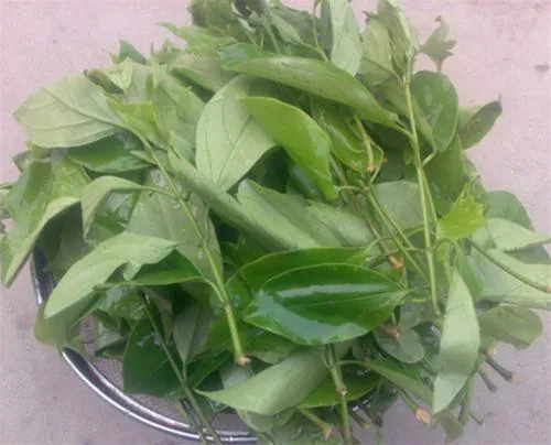Đặc sản Hà Nội