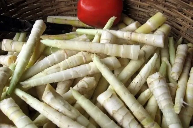 Xôi măng – món ăn lạ miệng ở vùng núi rừng Kon Tum mà ai cũng muốn thử